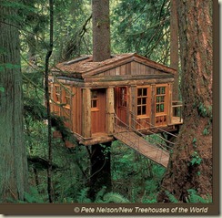 TreeHouse