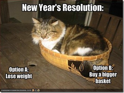 new-year-resolution-lose-weight-buy-bigger-basket-funny-cat