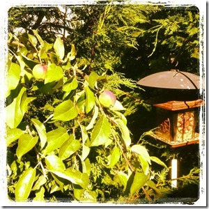 10402912_10154292847400541_614763458065185302_n