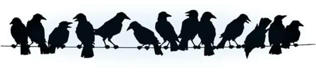 Crows2