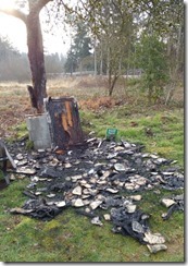 LibraryBurntDown2018