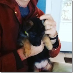 44927655_1552523501560698_5313728678445923795_n